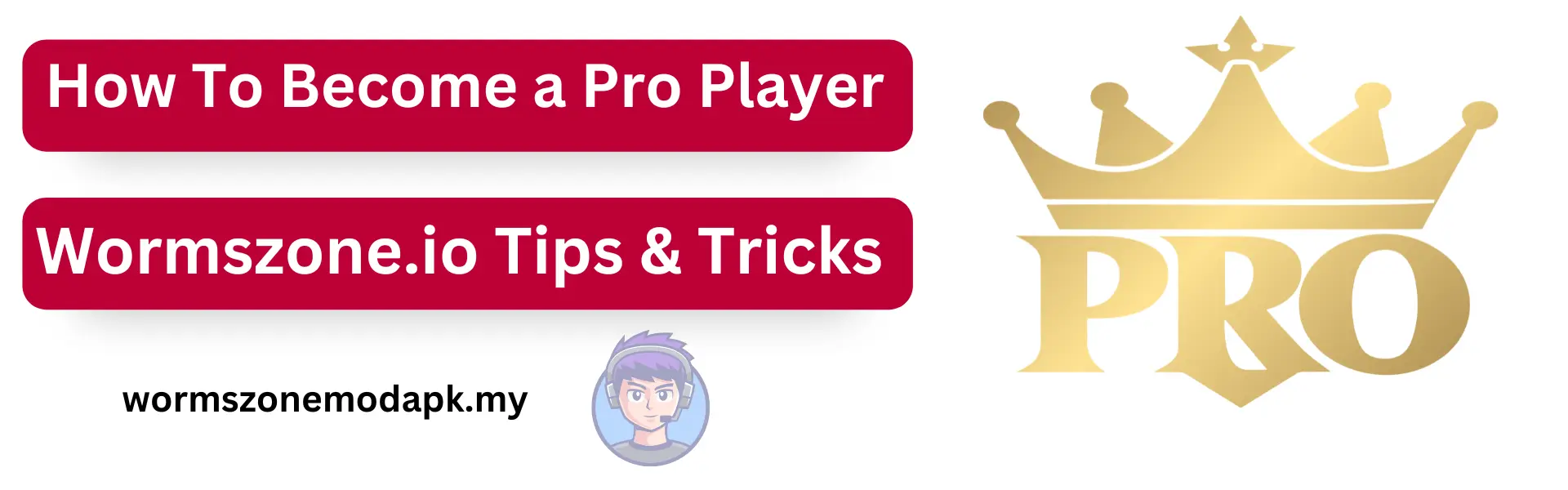 How To Become a Pro Player – Wormszone.io Tips & Tricks

